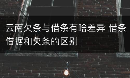 云南欠条与借条有啥差异 借条借据和欠条的区别