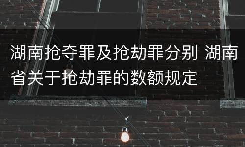 湖南抢夺罪及抢劫罪分别 湖南省关于抢劫罪的数额规定