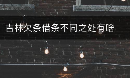 吉林欠条借条不同之处有啥