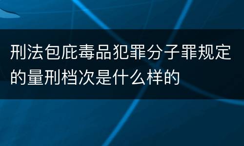刑法包庇毒品犯罪分子罪规定的量刑档次是什么样的