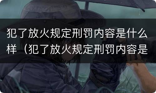 犯了放火规定刑罚内容是什么样（犯了放火规定刑罚内容是什么样的）