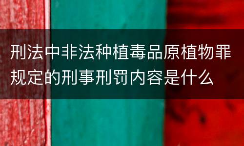刑法中非法种植毒品原植物罪规定的刑事刑罚内容是什么