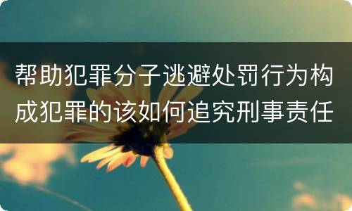 帮助犯罪分子逃避处罚行为构成犯罪的该如何追究刑事责任