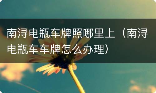 南浔电瓶车牌照哪里上（南浔电瓶车车牌怎么办理）
