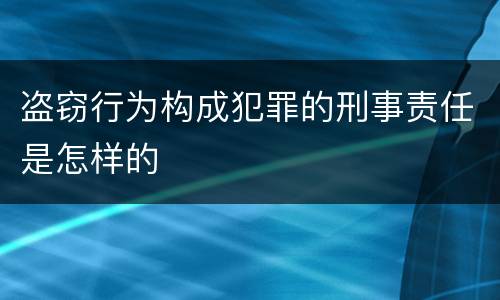 盗窃行为构成犯罪的刑事责任是怎样的