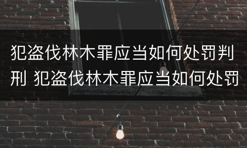 犯盗伐林木罪应当如何处罚判刑 犯盗伐林木罪应当如何处罚判刑人员