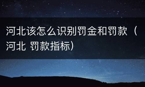 河北该怎么识别罚金和罚款（河北 罚款指标）