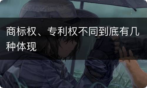 商标权、专利权不同到底有几种体现