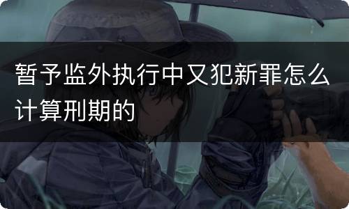 暂予监外执行中又犯新罪怎么计算刑期的