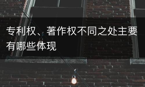 专利权、著作权不同之处主要有哪些体现