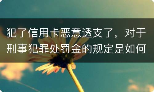 犯了信用卡恶意透支了，对于刑事犯罪处罚金的规定是如何