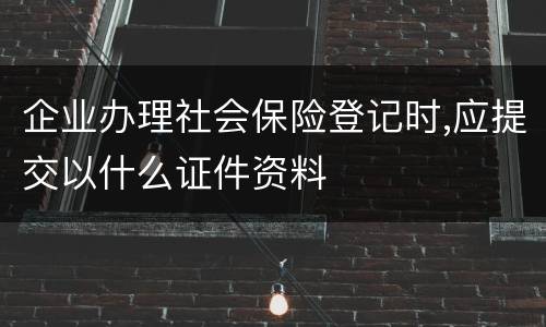 企业办理社会保险登记时,应提交以什么证件资料