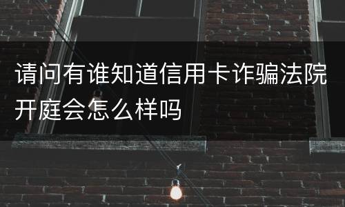 请问有谁知道信用卡诈骗法院开庭会怎么样吗