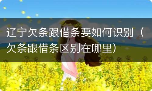 辽宁欠条跟借条要如何识别（欠条跟借条区别在哪里）
