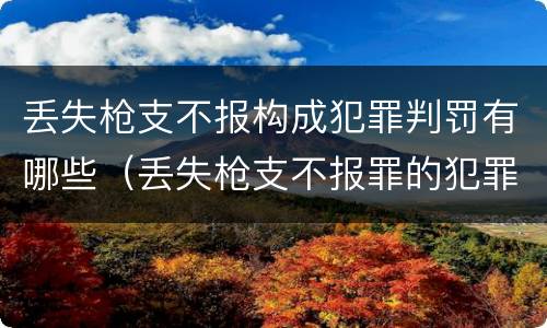 丢失枪支不报构成犯罪判罚有哪些（丢失枪支不报罪的犯罪主体只能是什么）