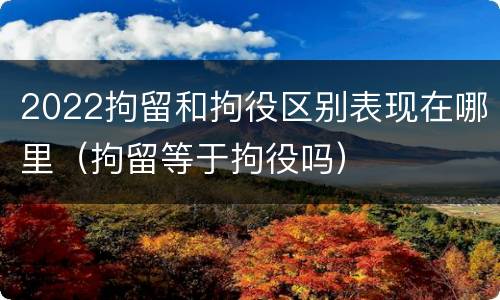 2022拘留和拘役区别表现在哪里（拘留等于拘役吗）
