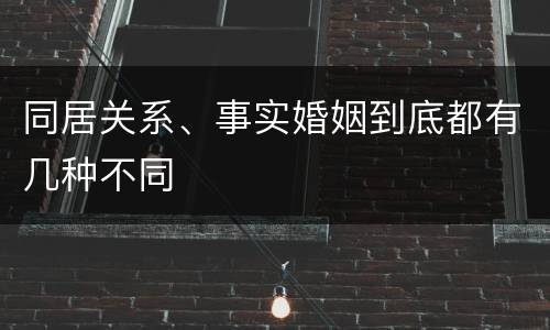 同居关系、事实婚姻到底都有几种不同