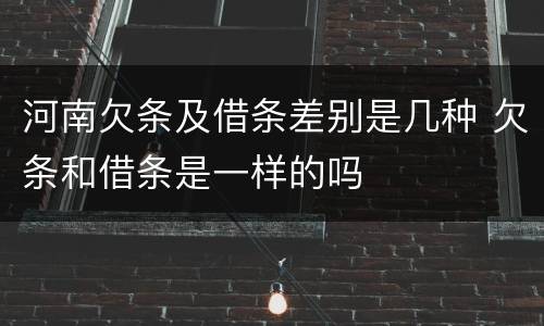 河南欠条及借条差别是几种 欠条和借条是一样的吗