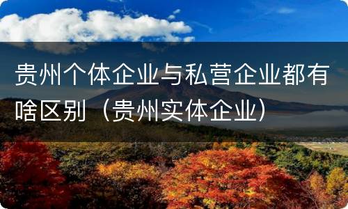 贵州个体企业与私营企业都有啥区别（贵州实体企业）