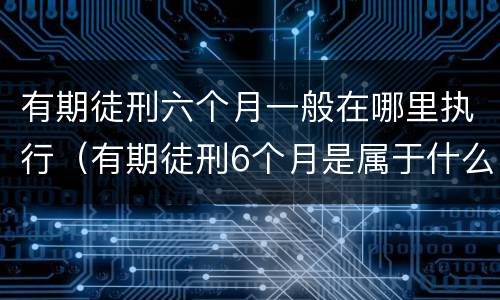 有期徒刑六个月一般在哪里执行（有期徒刑6个月是属于什么）