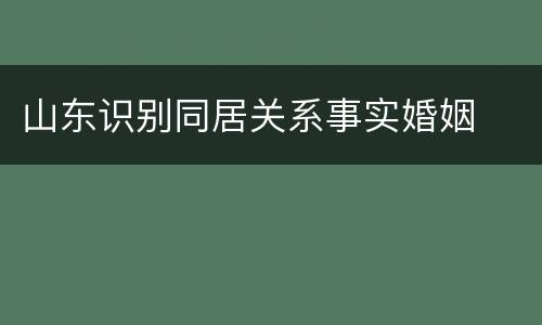 山东识别同居关系事实婚姻