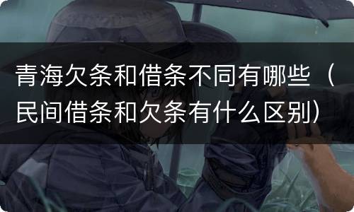 青海欠条和借条不同有哪些（民间借条和欠条有什么区别）
