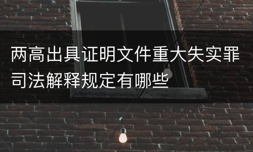 两高出具证明文件重大失实罪司法解释规定有哪些