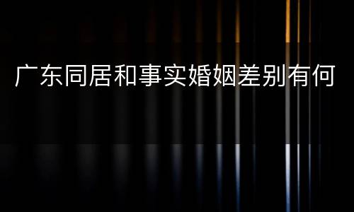 广东同居和事实婚姻差别有何
