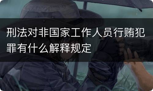 刑法对非国家工作人员行贿犯罪有什么解释规定