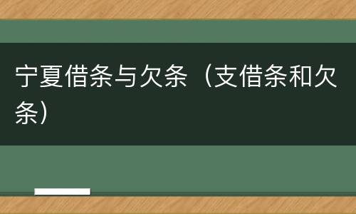 宁夏借条与欠条（支借条和欠条）