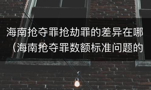 海南抢夺罪抢劫罪的差异在哪（海南抢夺罪数额标准问题的规定）