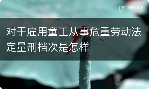 对于雇用童工从事危重劳动法定量刑档次是怎样