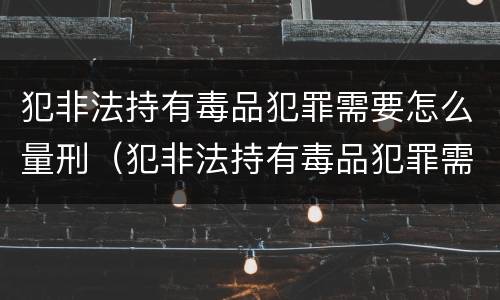 犯非法持有毒品犯罪需要怎么量刑（犯非法持有毒品犯罪需要怎么量刑呢）