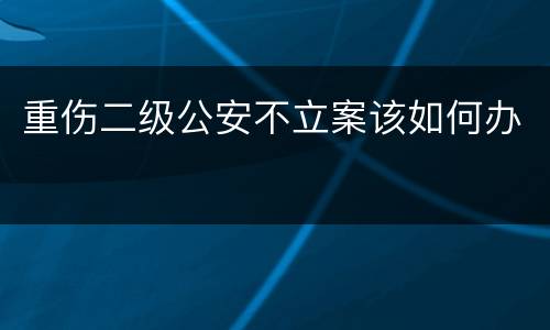 重伤二级公安不立案该如何办
