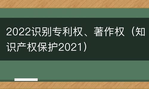 2022识别专利权、著作权（知识产权保护2021）