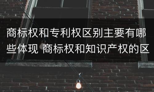 商标权和专利权区别主要有哪些体现 商标权和知识产权的区别