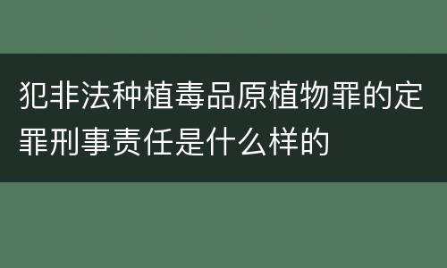 犯非法种植毒品原植物罪的定罪刑事责任是什么样的
