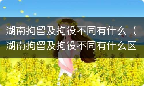 湖南拘留及拘役不同有什么（湖南拘留及拘役不同有什么区别）