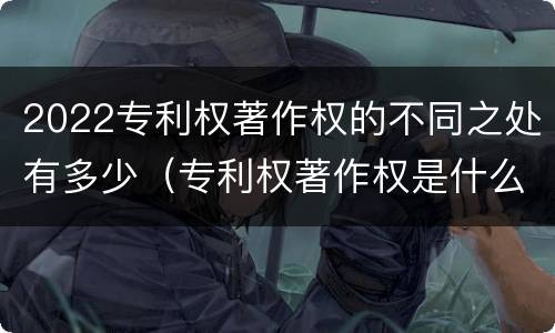 2022专利权著作权的不同之处有多少（专利权著作权是什么意思）