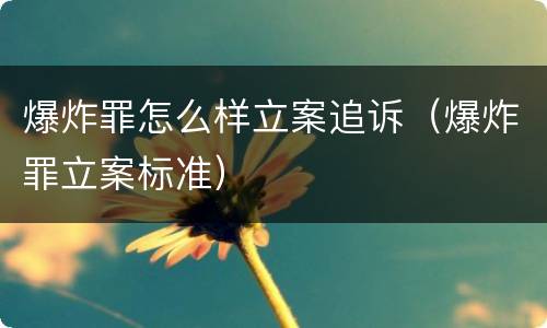 爆炸罪怎么样立案追诉（爆炸罪立案标准）