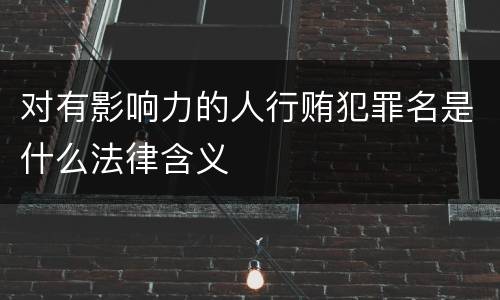 对有影响力的人行贿犯罪名是什么法律含义