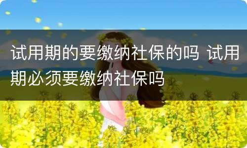 试用期的要缴纳社保的吗 试用期必须要缴纳社保吗