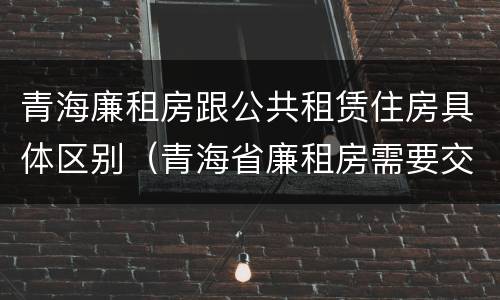 青海廉租房跟公共租赁住房具体区别（青海省廉租房需要交多少钱）