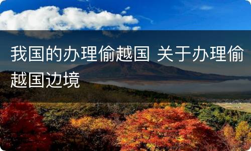 我国的办理偷越国 关于办理偷越国边境