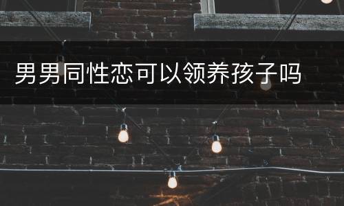 男男同性恋可以领养孩子吗