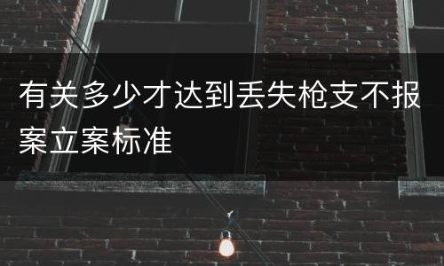 有关多少才达到丢失枪支不报案立案标准