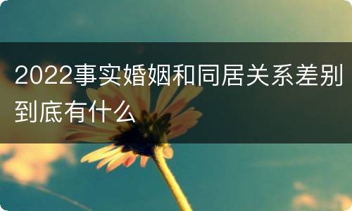 2022事实婚姻和同居关系差别到底有什么