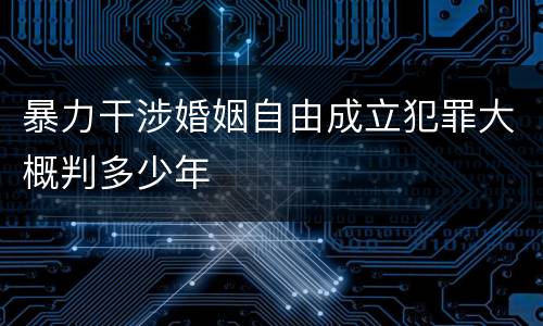 暴力干涉婚姻自由成立犯罪大概判多少年