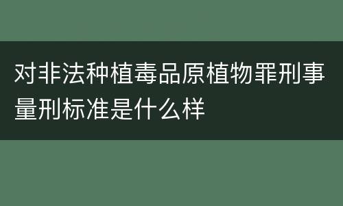 对非法种植毒品原植物罪刑事量刑标准是什么样
