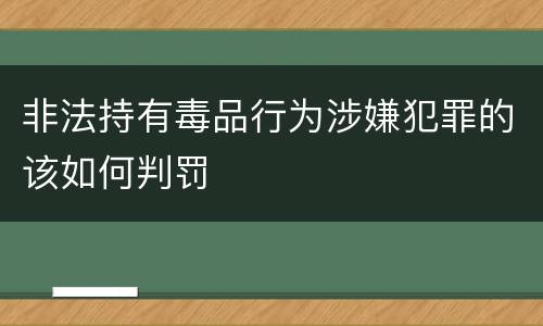 非法持有毒品行为涉嫌犯罪的该如何判罚